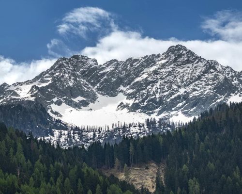 Lunaris Photography, Iris Dobre, Sesiuni foto profesionale, Ședințe foto tip natură, nature photography