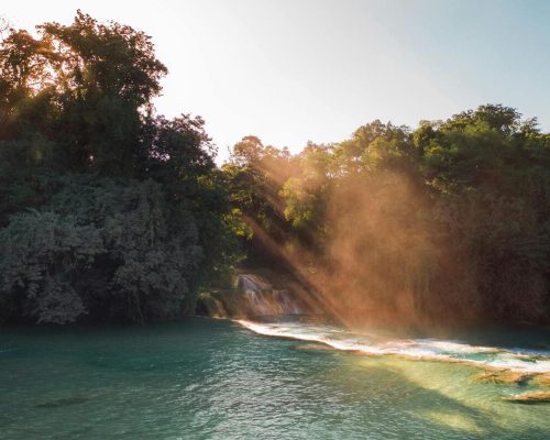 Lunaris Photography, Iris Dobre, Sesiuni foto profesionale, Ședințe foto tip natură, nature photography